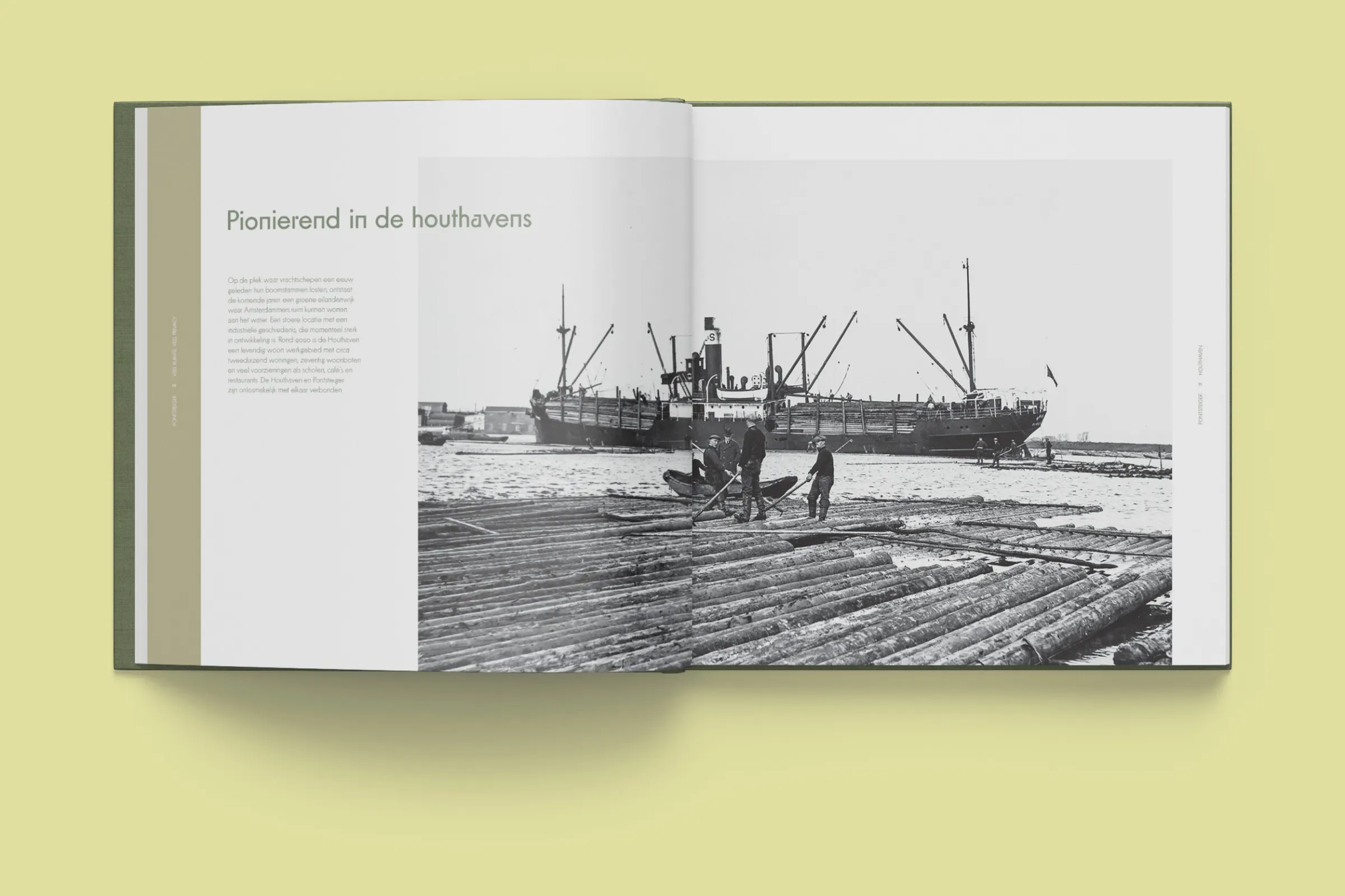 Pontsteiger, projectbeeld 5